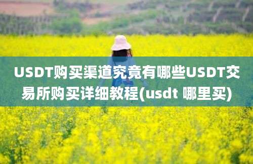 USDT购买渠道究竟有哪些USDT交易所购买详细教程(usdt 哪里买)