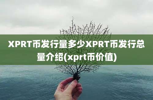 XPRT币发行量多少XPRT币发行总量介绍(xprt币价值)