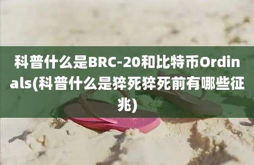 科普什么是BRC-20和比特币Ordinals(科普什么是猝死猝死前有哪些征兆)