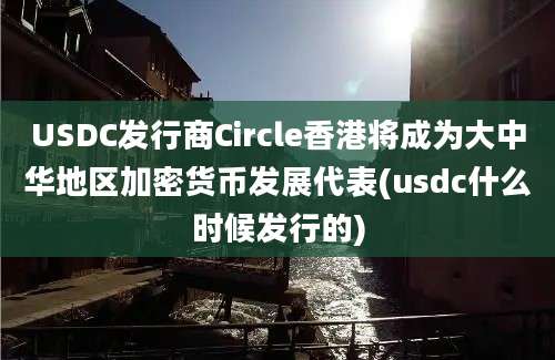 USDC发行商Circle香港将成为大中华地区加密货币发展代表(usdc什么时候发行的)