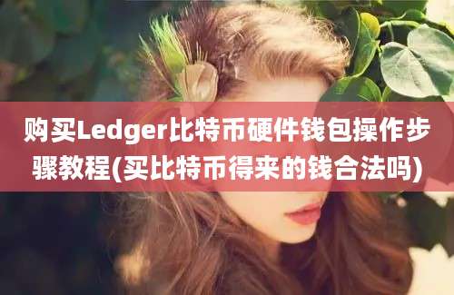 购买Ledger比特币硬件钱包操作步骤教程(买比特币得来的钱合法吗)