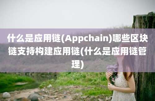 什么是应用链(Appchain)哪些区块链支持构建应用链(什么是应用链管理)