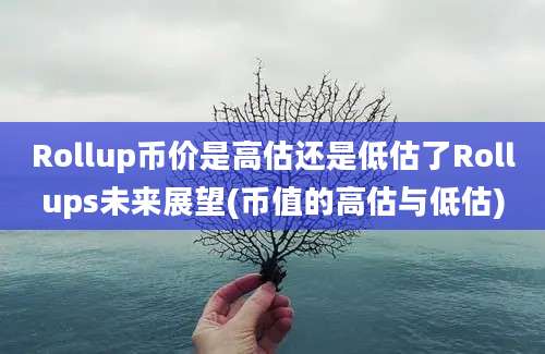 Rollup币价是高估还是低估了Rollups未来展望(币值的高估与低估)