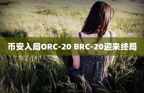 币安入局ORC-20 BRC-20迎来终局