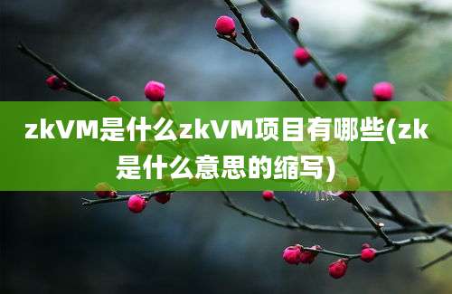 zkVM是什么zkVM项目有哪些(zk是什么意思的缩写)