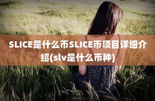 SLICE是什么币SLICE币项目详细介绍(slv是什么币种)