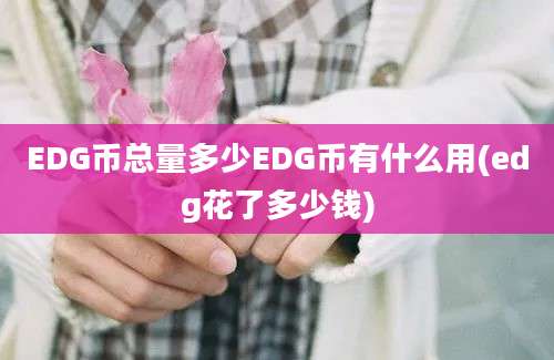 EDG币总量多少EDG币有什么用(edg花了多少钱)