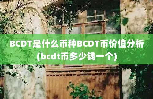 BCDT是什么币种BCDT币价值分析(bcdt币多少钱一个)