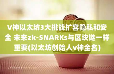 V神以太坊3大挑战扩容隐私和安全 未来zk-SNARKs与区块链一样重要(以太坊创始人v神全名)