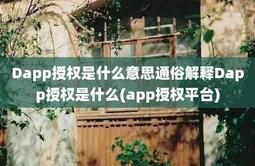 Dapp授权是什么意思通俗解释Dapp授权是什么(app授权平台)