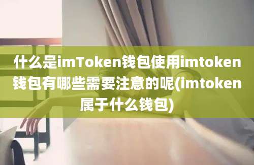 什么是imToken钱包使用imtoken钱包有哪些需要注意的呢(imtoken属于什么钱包)