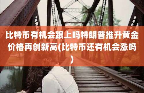 比特币有机会跟上吗特朗普推升黄金价格再创新高(比特币还有机会涨吗)