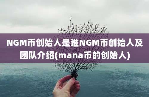 NGM币创始人是谁NGM币创始人及团队介绍(mana币的创始人)