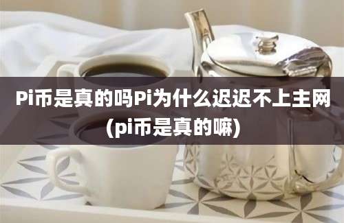 Pi币是真的吗Pi为什么迟迟不上主网(pi币是真的嘛)