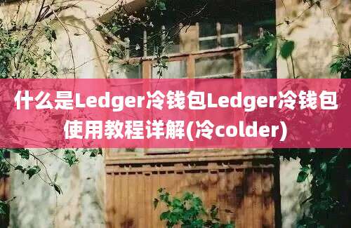 什么是Ledger冷钱包Ledger冷钱包使用教程详解(冷colder)