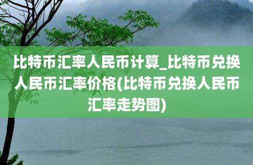 比特币汇率人民币计算_比特币兑换人民币汇率价格(比特币兑换人民币汇率走势图)