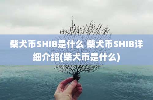 柴犬币SHIB是什么 柴犬币SHIB详细介绍(柴犬币是什么)