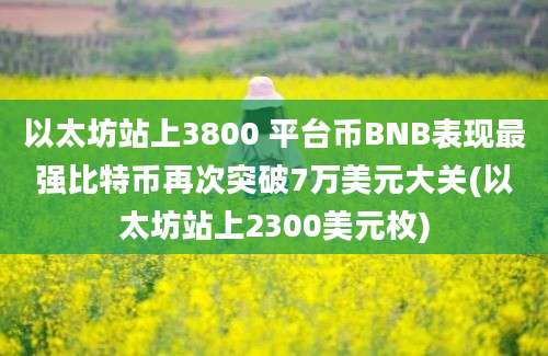 以太坊站上3800 平台币BNB表现最强比特币再次突破7万美元大关(以太坊站上2300美元枚)