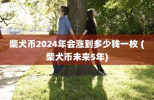 柴犬币2024年会涨到多少钱一枚 (柴犬币未来5年)