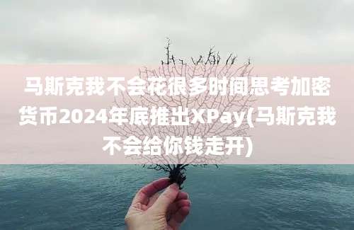 马斯克我不会花很多时间思考加密货币2024年底推出XPay(马斯克我不会给你钱走开)