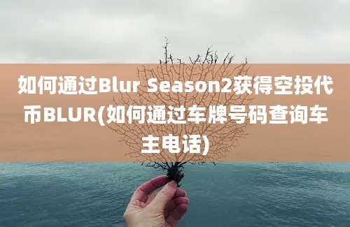 如何通过Blur Season2获得空投代币BLUR(如何通过车牌号码查询车主电话)