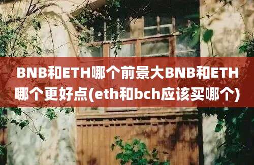 BNB和ETH哪个前景大BNB和ETH哪个更好点(eth和bch应该买哪个)