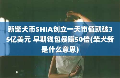 新柴犬币SHIA创立一天市值就破35亿美元 早期钱包暴赚50倍(柴犬新是什么意思)