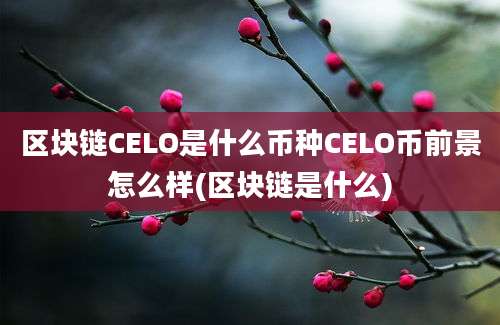 区块链CELO是什么币种CELO币前景怎么样(区块链是什么)