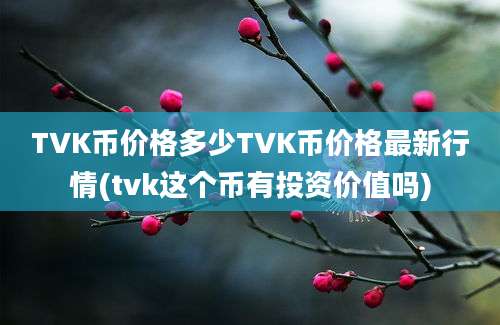 TVK币价格多少TVK币价格最新行情(tvk这个币有投资价值吗)