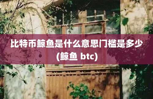 比特币鲸鱼是什么意思门槛是多少(鲸鱼 btc)