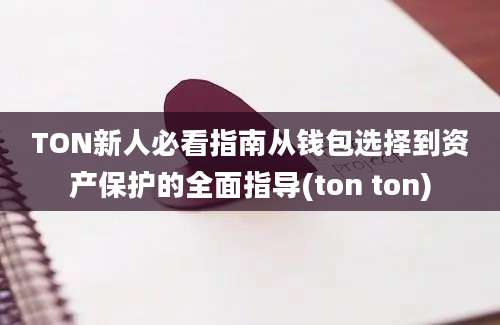 TON新人必看指南从钱包选择到资产保护的全面指导(ton ton)