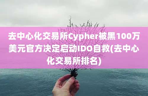 去中心化交易所Cypher被黑100万美元官方决定启动IDO自救(去中心化交易所排名)