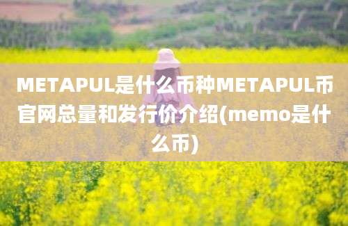 METAPUL是什么币种METAPUL币官网总量和发行价介绍(memo是什么币)