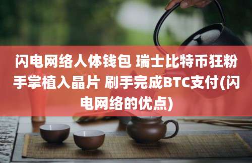 闪电网络人体钱包 瑞士比特币狂粉手掌植入晶片 刷手完成BTC支付(闪电网络的优点)