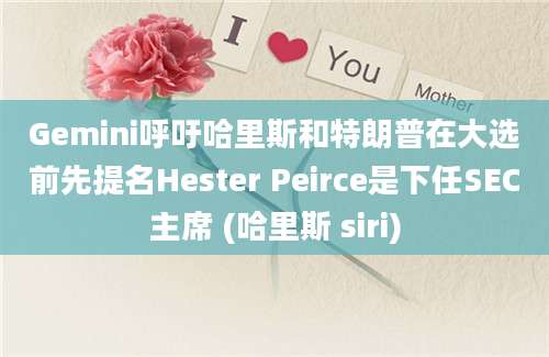 Gemini呼吁哈里斯和特朗普在大选前先提名Hester Peirce是下任SEC主席 (哈里斯 siri)