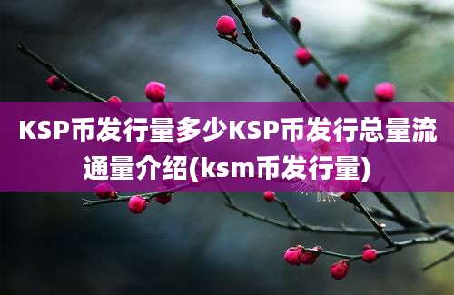 KSP币发行量多少KSP币发行总量流通量介绍(ksm币发行量)