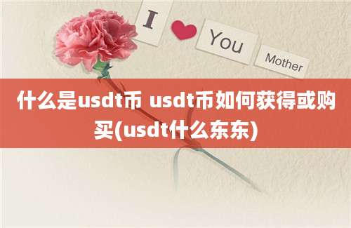 什么是usdt币 usdt币如何获得或购买(usdt什么东东)