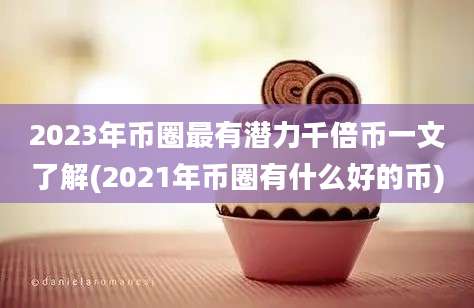 2023年币圈最有潜力千倍币一文了解(2021年币圈有什么好的币)