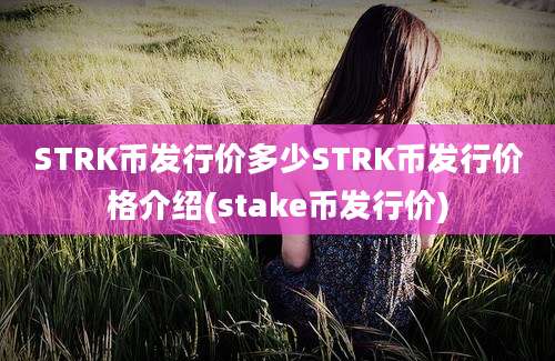 STRK币发行价多少STRK币发行价格介绍(stake币发行价)