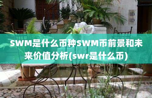 SWM是什么币种SWM币前景和未来价值分析(swr是什么币)