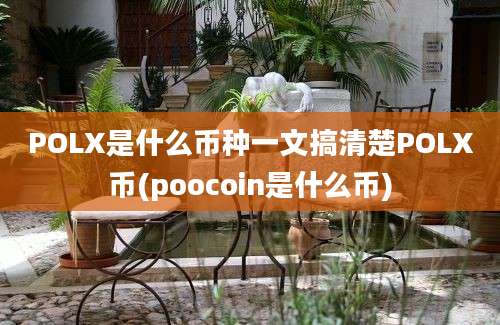 POLX是什么币种一文搞清楚POLX币(poocoin是什么币)