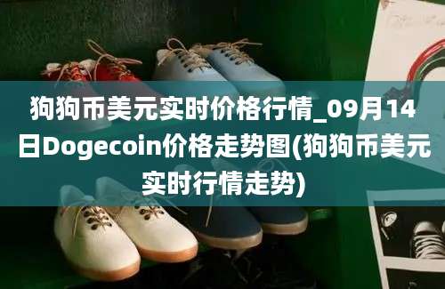 狗狗币美元实时价格行情_09月14日Dogecoin价格走势图(狗狗币美元实时行情走势)