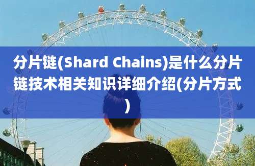 分片链(Shard Chains)是什么分片链技术相关知识详细介绍(分片方式)