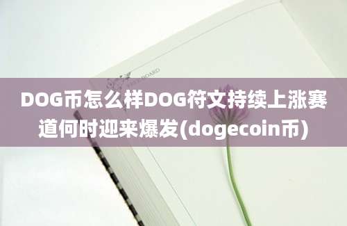 DOG币怎么样DOG符文持续上涨赛道何时迎来爆发(dogecoin币)