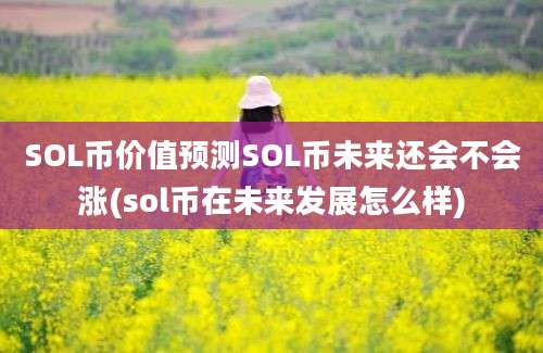 SOL币价值预测SOL币未来还会不会涨(sol币在未来发展怎么样)