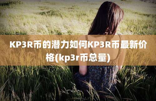 KP3R币的潜力如何KP3R币最新价格(kp3r币总量)