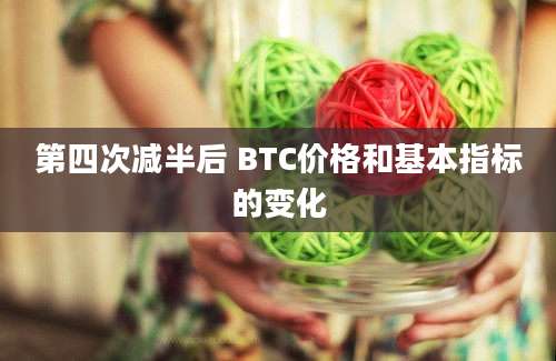 第四次减半后 BTC价格和基本指标的变化