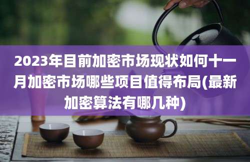 2023年目前加密市场现状如何十一月加密市场哪些项目值得布局(最新加密算法有哪几种)