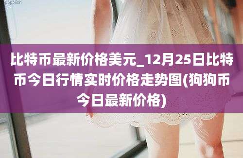 比特币最新价格美元_12月25日比特币今日行情实时价格走势图(狗狗币今日最新价格)