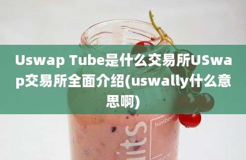 Uswap Tube是什么交易所USwap交易所全面介绍(uswally什么意思啊)